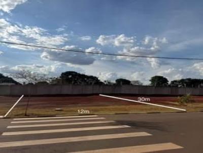 imagem-miniatura